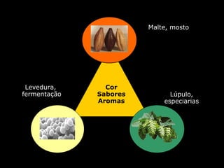 Cor Sabores Aromas Malte, mosto Levedura, fermentação Lúpulo, especiarias  