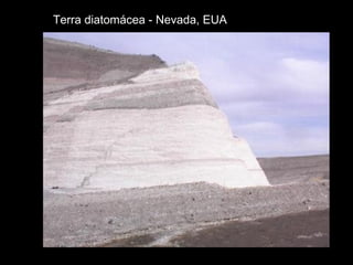 Terra diatomácea - Nevada, EUA 