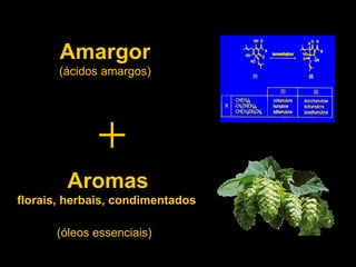 Amargor (ácidos amargos) Aromas  florais, herbais, condimentados (óleos essenciais)   