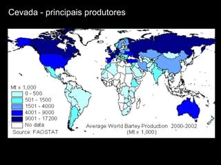 Cevada - principais produtores 
