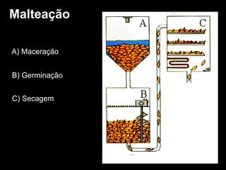 Malteação A) Maceração B) Germinação C) Secagem 