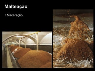 Malteação Maceração 