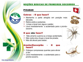 PICADAS
PICADAS
Cobras - O que fazer?
 Mantenha a parte atingida em posição mais
elevada;
 Retire anéis e pulseiras;
 Limpe o local com água e sabão;
 Leve imediatamente o acidentado para o pronto-
socorro.
O que não fazer?
 Não amarre a perna ou o braço acidentado;
 Não corte e/ou chupe o local da picada;
 Não dê álcool para beber.
Aranha/Escorpião - O que
fazer?
 Coloque compressas quentes para aliviar
a dor
 Leve imediatamente o acidentado para o
pronto-socorro.
NOÇÕES BÁSICAS DE PRIMEIROS SOCORROS
 