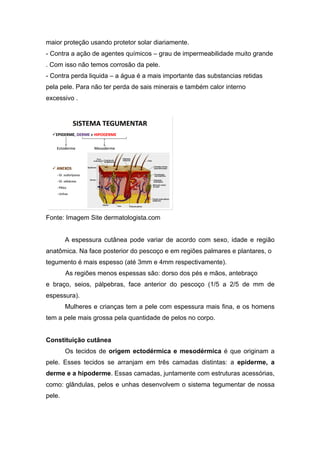 maior proteção usando protetor solar diariamente.
- Contra a ação de agentes químicos – grau de impermeabilidade muito grande
. Com isso não temos corrosão da pele.
- Contra perda liquida – a água é a mais importante das substancias retidas
pela pele. Para não ter perda de sais minerais e também calor interno
excessivo .
Fonte: Imagem Site dermatologista.com
A espessura cutânea pode variar de acordo com sexo, idade e região
anatômica. Na face posterior do pescoço e em regiões palmares e plantares, o
tegumento é mais espesso (até 3mm e 4mm respectivamente).
As regiões menos espessas são: dorso dos pés e mãos, antebraço
e braço, seios, pálpebras, face anterior do pescoço (1/5 a 2/5 de mm de
espessura).
Mulheres e crianças tem a pele com espessura mais fina, e os homens
tem a pele mais grossa pela quantidade de pelos no corpo.
Constituição cutânea
Os tecidos de origem ectodérmica e mesodérmica é que originam a
pele. Esses tecidos se arranjam em três camadas distintas: a epiderme, a
derme e a hipoderme. Essas camadas, juntamente com estruturas acessórias,
como: glândulas, pelos e unhas desenvolvem o sistema tegumentar de nossa
pele.
 
