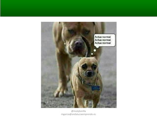 vvvis

@molybonilla
mgarcia@andaluciaemprende.es

 