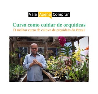 Curso como cuidar de orquídeas
O melhor curso de cultivo de orquídeas do Brasil
 