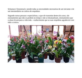 Schuman é fenomenal e atende todas as necessidades necessárias de um iniciante e de
um intermediário no cultivo de orquídeas.
Segundo outras pessoas e especialistas, o que ele transmite dentro do curso, são
ensinamentos que não se perdem no tempo e não se desatualizam, ensinamentos que
o aluno levará para a vida toda – conhecimento que as suas orquídeas agradecerá com
toda a certeza.
 