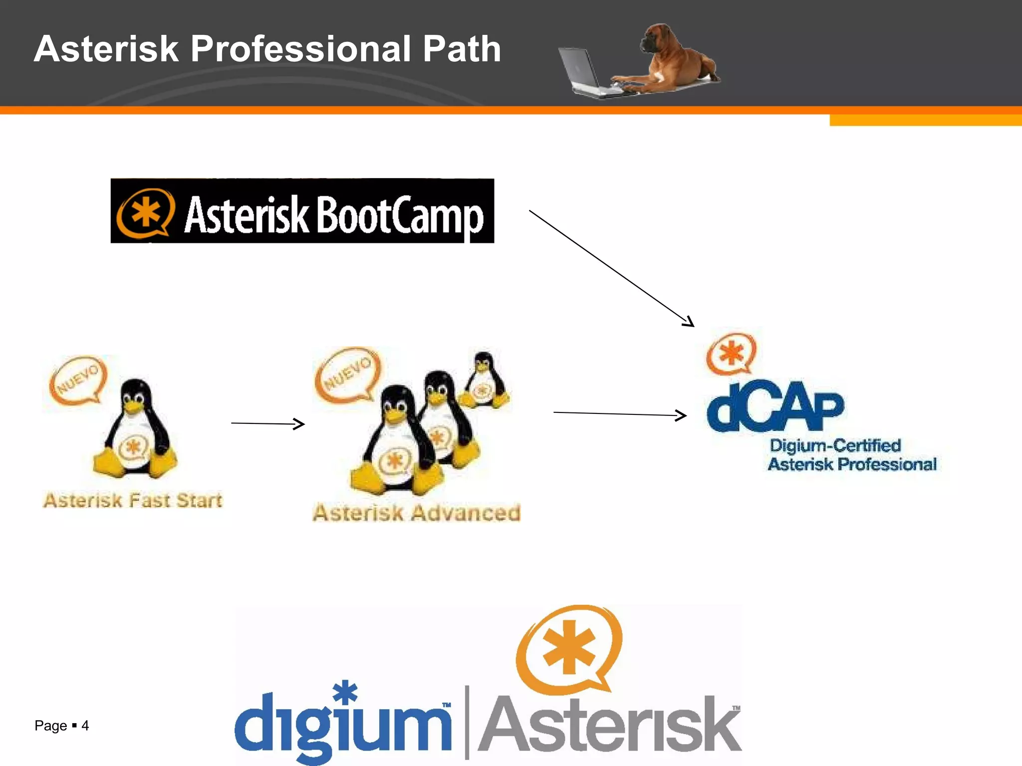 Asterisk Professional Path 