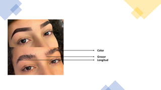 Color
Grosor
Longitud
 