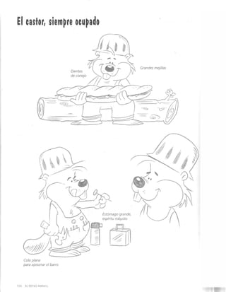 Curso completo de dibujo caricatura