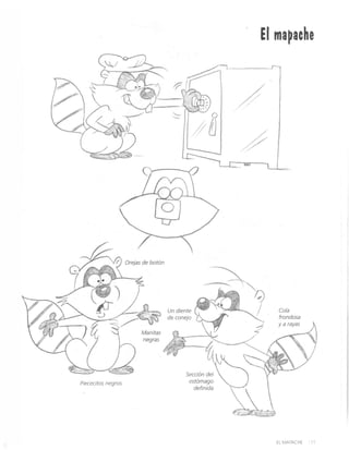 Curso completo de dibujo caricatura