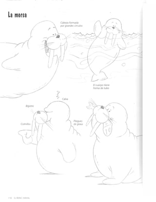 Curso completo de dibujo caricatura