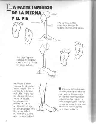 Curso completo de dibujo caricatura