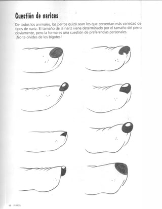 Curso completo de dibujo caricatura