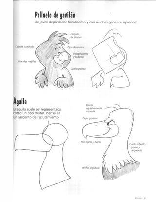 Curso completo de dibujo caricatura