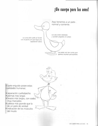 Curso completo de dibujo caricatura