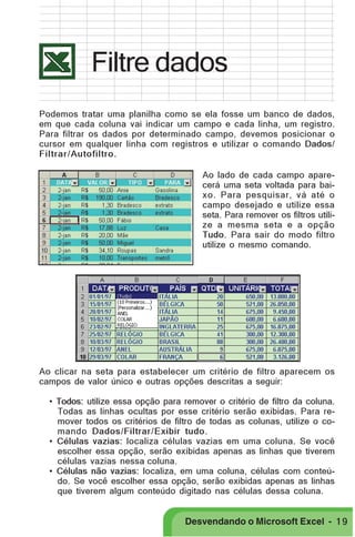 PRIMEIIROS PASSOS

Filtre dados
Podemos tratar uma planilha como se ela fosse um banco de dados,
em que cada coluna vai indicar um campo e cada linha, um registro.
Para filtrar os dados por determinado campo, devemos posicionar o
cursor em qualquer linha com registros e utilizar o comando Dados/
Filtrar/Autofiltro.
Ao lado de cada campo aparecerá uma seta voltada para baixo. Para pesquisar, vá até o
campo desejado e utilize essa
seta. Para remover os filtros utilize a mesma seta e a opção
Tudo. Para sair do modo filtro
utilize o mesmo comando.

Ao clicar na seta para estabelecer um critério de filtro aparecem os
campos de valor único e outras opções descritas a seguir:
• Todos: utilize essa opção para remover o critério de filtro da coluna.
Todas as linhas ocultas por esse critério serão exibidas. Para remover todos os critérios de filtro de todas as colunas, utilize o comando Dados/Filtrar/Exibir tudo.
• Células vazias: localiza células vazias em uma coluna. Se você
escolher essa opção, serão exibidas apenas as linhas que tiverem
células vazias nessa coluna.
• Células não vazias: localiza, em uma coluna, células com conteúdo. Se você escolher essa opção, serão exibidas apenas as linhas
que tiverem algum conteúdo digitado nas células dessa coluna.

Desvendando o Microsoft Excel - 1 9

 