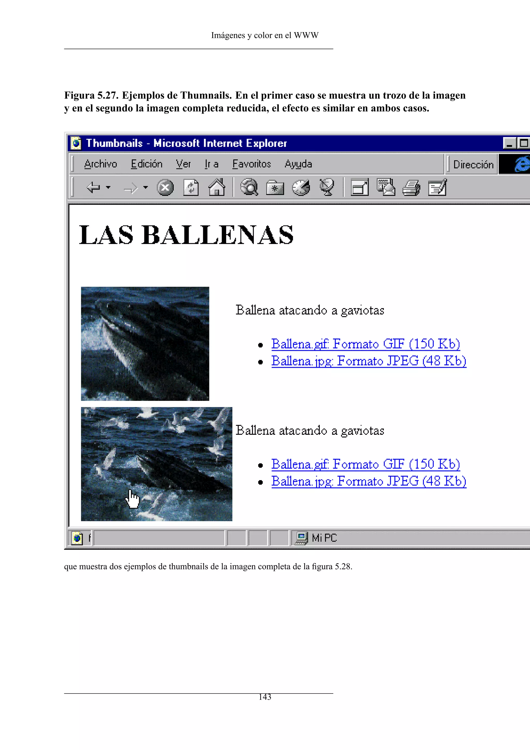Imágenes y color en el WWW
Figura 5.27. Ejemplos de Thumnails. En el primer caso se muestra un trozo de la imagen
y en el segundo la imagen completa reducida, el efecto es similar en ambos casos.
que muestra dos ejemplos de thumbnails de la imagen completa de la ﬁgura 5.28.
143
 