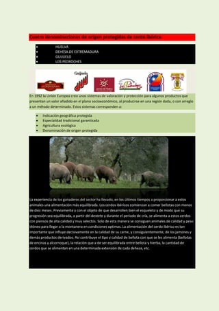 Cuatro denominaciones de origen protegidas de cerdo ibérico
               HUELVA
               DEHESA DE EXTREMADURA
               GUIJUELO
               LOS PEDROCHES




En 1992 la Unión Europea creo unos sistemas de valoración y protección para algunos productos que
presentan un valor añadido en el plano socioeconómico, al producirse en una región dada, o con arreglo
a un método determinado. Estos sistemas corresponden a:

       Indicación geográfica protegida
       Especialidad tradicional garantizada
       Agricultura ecológica
       Denominación de origen protegida




La experiencia de los ganaderos del sector ha llevado, en los últimos tiempos a proporcionar a estos
animales una alimentación más equilibrada. Los cerdos ibéricos comienzan a comer bellotas con menos
de diez meses. Previamente y con el objeto de que desarrollen bien el esqueleto y de modo que su
progresión sea equilibrada, a partir del destete y durante el periodo de cría, se alimenta a estos cerdos
con piensos de alta calidad y muy selectos. Solo de esta manera se consiguen animales de calidad y peso
idóneo para llegar a la montanera en condiciones optimas. La alimentación del cerdo ibérico es tan
importante que influye decisivamente en la calidad de su carne, y consiguientemente, de los jamones y
demás productos derivados. Así contribuye el tipo y calidad de bellota con que se les alimenta (bellotas
de encinas y alcornoque), la relación que a de ser equilibrada entre bellota y hierba, la cantidad de
cerdos que se alimentan en una determinada extensión de cada dehesa, etc.
 
