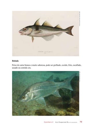 Cozinheiro 2
Robalo
Peixe de carne branca e muito saborosa, pode ser grelhado, cozido, frito, escalfado,
assado ou comido cru.
Arco Ocupacional G a s t r o n o m i a 79
©Science&SocietyPictureLibrary/GettyImages©AndreSeale/Alamy/OtherImages
 