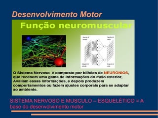 Desenvolvimento Motor




SISTEMA NERVOSO E MUSCULO – ESQUELÉTICO = A
base do desenvolvimento motor
 
