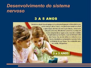 Desenvolvimento do sistema
nervoso
           3 A 5 ANOS
 