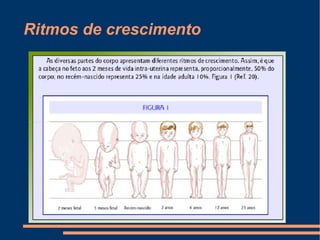 Ritmos de crescimento
 