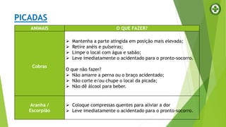 PICADAS
ANIMAIS O QUE FAZER?
Cobras
 Mantenha a parte atingida em posição mais elevada;
 Retire anéis e pulseiras;
 Limpe o local com água e sabão;
 Leve imediatamente o acidentado para o pronto-socorro.
O que não fazer?
 Não amarre a perna ou o braço acidentado;
 Não corte e/ou chupe o local da picada;
 Não dê álcool para beber.
Aranha /
Escorpião
 Coloque compressas quentes para aliviar a dor
 Leve imediatamente o acidentado para o pronto-socorro.
 
