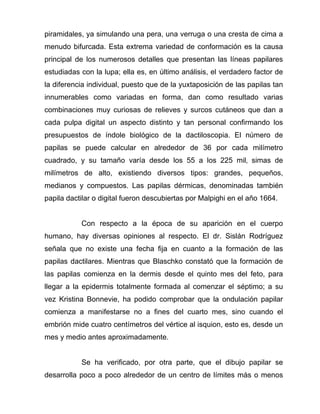 piramidales, ya simulando una pera, una verruga o una cresta de cima a
menudo bifurcada. Esta extrema variedad de conformación es la causa
principal de los numerosos detalles que presentan las líneas papilares
estudiadas con la lupa; ella es, en último análisis, el verdadero factor de
la diferencia individual, puesto que de la yuxtaposición de las papilas tan
innumerables como variadas en forma, dan como resultado varias
combinaciones muy curiosas de relieves y surcos cutáneos que dan a
cada pulpa digital un aspecto distinto y tan personal confirmando los
presupuestos de índole biológico de la dactiloscopia. El número de
papilas se puede calcular en alrededor de 36 por cada milímetro
cuadrado, y su tamaño varía desde los 55 a los 225 mil‚ simas de
milímetros de alto, existiendo diversos tipos: grandes, pequeños,
medianos y compuestos. Las papilas dérmicas, denominadas también
papila dactilar o digital fueron descubiertas por Malpighi en el año 1664.


           Con respecto a la época de su aparición en el cuerpo
humano, hay diversas opiniones al respecto. El dr. Sislán Rodríguez
señala que no existe una fecha fija en cuanto a la formación de las
papilas dactilares. Mientras que Blaschko constató que la formación de
las papilas comienza en la dermis desde el quinto mes del feto, para
llegar a la epidermis totalmente formada al comenzar el séptimo; a su
vez Kristina Bonnevie, ha podido comprobar que la ondulación papilar
comienza a manifestarse no a fines del cuarto mes, sino cuando el
embrión mide cuatro centímetros del vértice al isquion, esto es, desde un
mes y medio antes aproximadamente.


           Se ha verificado, por otra parte, que el dibujo papilar se
desarrolla poco a poco alrededor de un centro de límites más o menos
 