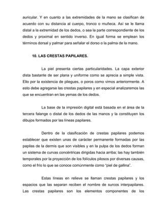 auricular. Y en cuanto a las extremidades de la mano se clasifican de
acuerdo con su distancia al cuerpo, tronco o muñeca. Así se le llama
distal a la extremidad de los dedos, o sea la parte correspondiente de los
dedos y proximal en sentido inverso. En igual forma se emplean los
términos dorsal y palmar para señalar el dorso o la palma de la mano.


     10. LAS CRESTAS PAPILARES.


           La piel presenta ciertas particularidades. La capa exterior
dista bastante de ser plana y uniforme como se aprecia a simple vista.
Ello por la existencia de pliegues, o poros como vimos anteriormente. A
esto debe agregarse las crestas papilares y en especial analizaremos las
que se encuentran en las yemas de los dedos.


           La base de la impresión digital está basada en el área de la
tercera falange o distal de los dedos de las manos y la constituyen los
dibujos formados por las líneas papilares.


           Dentro de la clasificación de crestas papilares podemos
establecer que existen unas de carácter permanente formadas por las
papilas de la dermis que son visibles y en la pulpa de los dedos forman
un sistema de curvas concéntricas dirigidas hacia arriba; las hay también
temporales por la proyección de los folículos pilosos por diversas causas,
como el frío lo que se conoce comúnmente como “piel de gallina”.


           Estas líneas en relieve se llaman crestas papilares y los
espacios que las separan reciben el nombre de surcos interpapilares.
Las crestas papilares son los elementos componentes de los
 