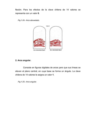 flexión. Para los efectos de la clave chilena de 14 valores se
representa con un valor 0.


  Fig.1-24.- Arco abovedado.




2. Arco angular.


        Consiste en figuras digitales de arcos pero que sus líneas se
elevan al plano central, en cuya base se forma un ángulo. La clave
chilena de 14 valores le asigna un valor 1.


  Fig.1-25.- Arco angular.
 