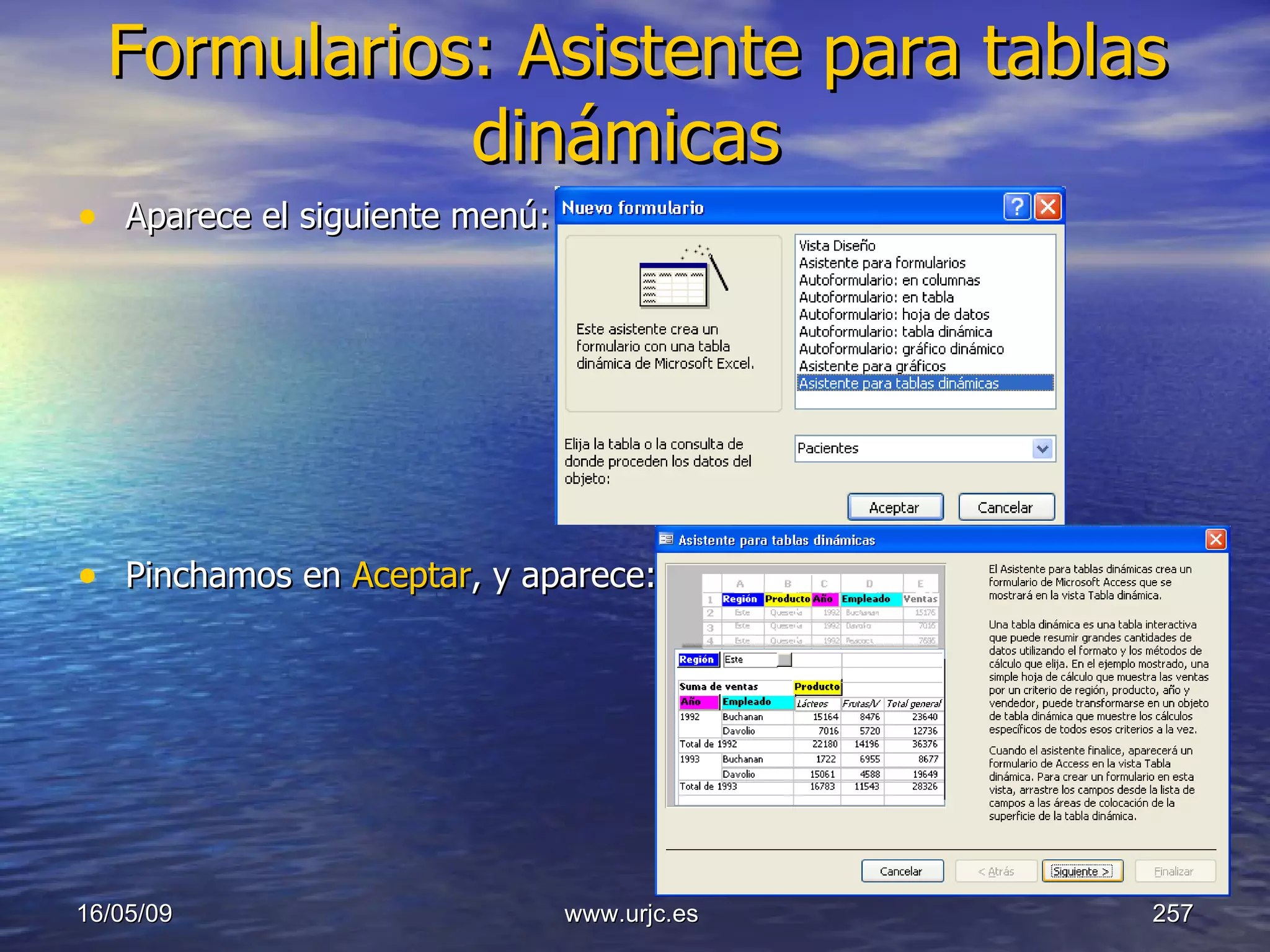 Formularios: Asistente para tablas dinámicas   Aparece el siguiente menú: Pinchamos en  Aceptar , y aparece: 10/06/09 www.urjc.es  