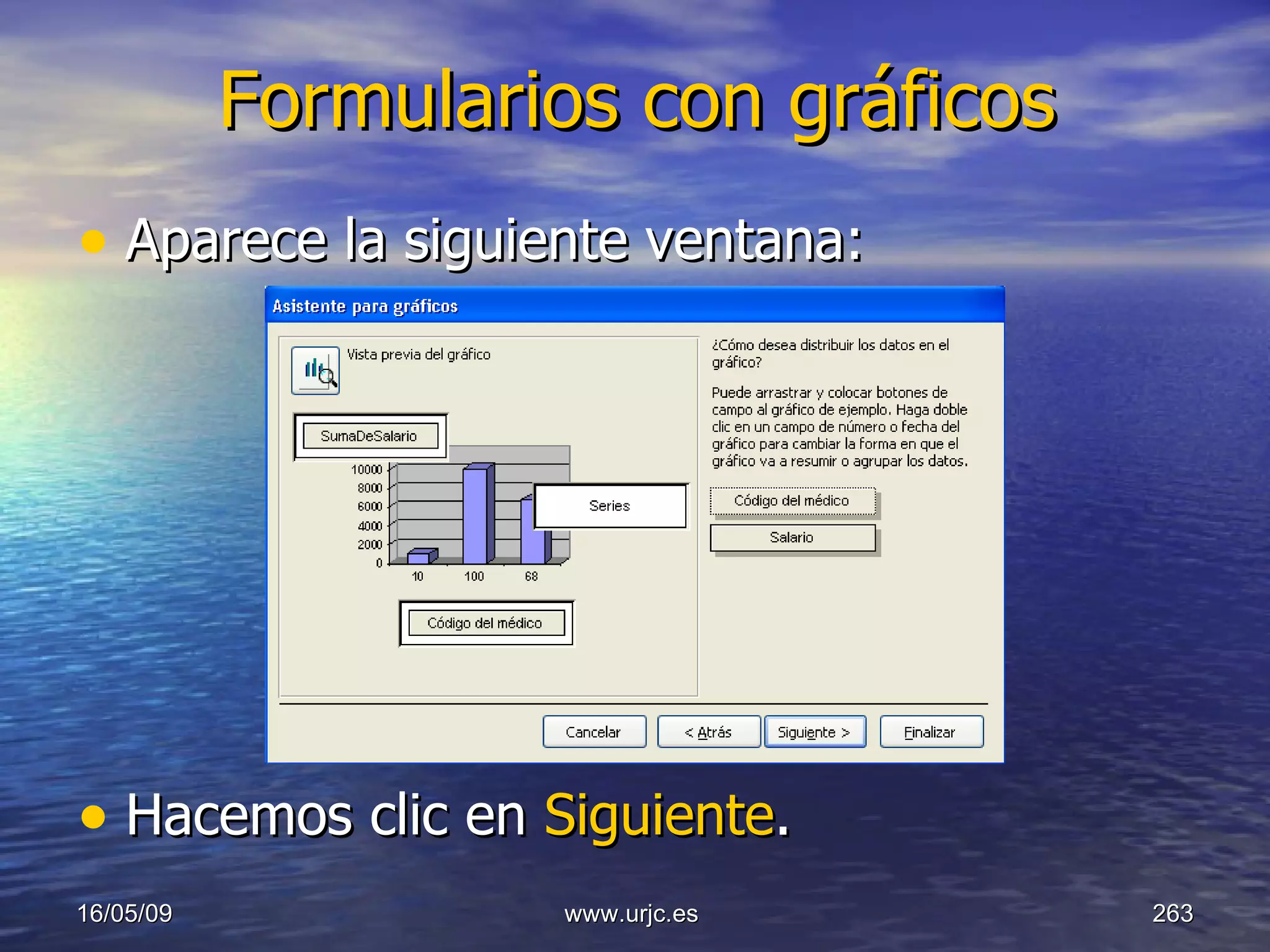 Formularios con gráficos Aparece la siguiente ventana: Hacemos clic en  Siguiente . 10/06/09 www.urjc.es  