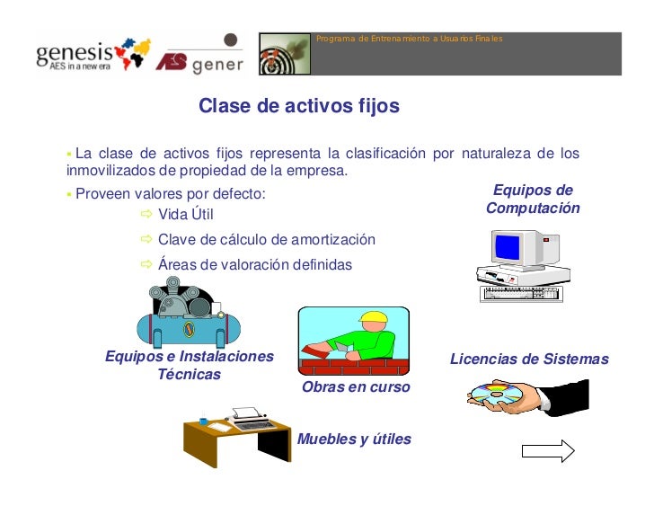 Curso de activo fijo aes