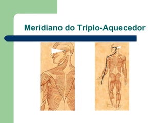 Meridiano do Triplo-Aquecedor
 