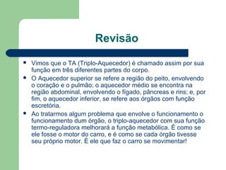 Revisão
 Vimos que o TA (Triplo-Aquecedor) é chamado assim por sua
função em três diferentes partes do corpo.
 O Aquecedor superior se refere a região do peito, envolvendo
o coração e o pulmão; o aquecedor médio se encontra na
região abdominal, envolvendo o fígado, pâncreas e rins; e, por
fim, o aquecedor inferior, se refere aos órgãos com função
escretória.
 Ao tratarmos algum problema que envolve o funcionamento o
funcionamento dum órgão, o triplo-aquecedor com sua função
termo-reguladora melhorará a função metabólica. É como se
ele fosse o motor do carro, e é como se cada órgão tivesse
seu próprio motor. É ele que faz o carro se movimentar!
 