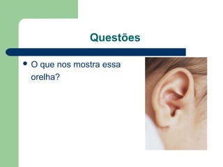 Questões
 O que nos mostra essa
orelha?
 