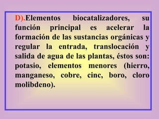 D).Elementos biocatalizadores, su
función principal es acelerar la
formación de las sustancias orgánicas y
regular la entrada, translocación y
salida de agua de las plantas, éstos son:
potasio, elementos menores (hierro,
manganeso, cobre, cinc, boro, cloro
molibdeno).
 