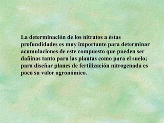 La determinación de los nitratos a éstas
profundidades es muy importante para determinar
acumulaciones de este compuesto que pueden ser
dañinas tanto para las plantas como para el suelo;
para diseñar planes de fertilización nitrogenada es
poco su valor agronómico.
 