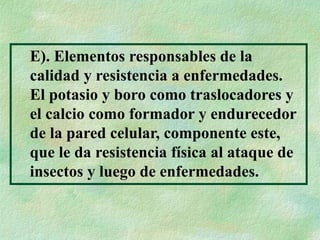 E). Elementos responsables de la
calidad y resistencia a enfermedades.
El potasio y boro como traslocadores y
el calcio como formador y endurecedor
de la pared celular, componente este,
que le da resistencia física al ataque de
insectos y luego de enfermedades.
 