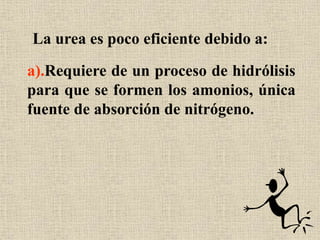 a).Requiere de un proceso de hidrólisis
para que se formen los amonios, única
fuente de absorción de nitrógeno.
La urea es poco eficiente debido a:
 
