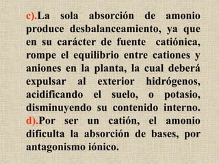 c).La sola absorción de amonio
produce desbalanceamiento, ya que
en su carácter de fuente catiónica,
rompe el equilibrio entre cationes y
aniones en la planta, la cual deberá
expulsar al exterior hidrógenos,
acidificando el suelo, o potasio,
disminuyendo su contenido interno.
d).Por ser un catión, el amonio
dificulta la absorción de bases, por
antagonismo iónico.
 