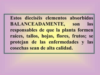 Estos dieciséis elementos absorbidos
BALANCEADAMENTE, son los
responsables de que la planta formen
raíces, tallos, hojas, flores, frutos; se
protejan de las enfermedades y las
cosechas sean de alta calidad.
 