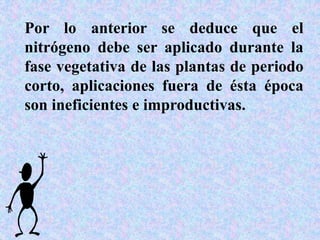 Por lo anterior se deduce que el
nitrógeno debe ser aplicado durante la
fase vegetativa de las plantas de periodo
corto, aplicaciones fuera de ésta época
son ineficientes e improductivas.
 
