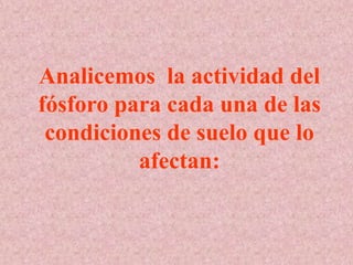 Analicemos la actividad del
fósforo para cada una de las
condiciones de suelo que lo
afectan:
 