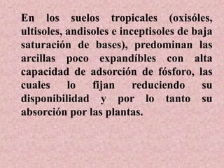 En los suelos tropicales (oxisóles,
ultisoles, andisoles e inceptisoles de baja
saturación de bases), predominan las
arcillas poco expandíbles con alta
capacidad de adsorción de fósforo, las
cuales lo fijan reduciendo su
disponibilidad y por lo tanto su
absorción por las plantas.
 
