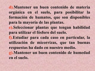 d).Mantener un buen contenido de materia
orgánica en el suelo, para posibilitar la
formación de humatos, que son disponibles
para la mayoría de las plantas.
e).Seleccionar plantas que tengan habilidad
para utilizar el fósforo del suelo.
f).Estudiar para cada caso en particular, la
utilización de micorrizas, que tan buenas
respuestas ha dado en nuestro medio.
g).Mantener un buen contenido de humedad
en el suelo.
 
