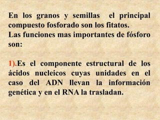 En los granos y semillas el principal
compuesto fosforado son los fitatos.
Las funciones mas importantes de fósforo
son:
1).Es el componente estructural de los
ácidos nucleicos cuyas unidades en el
caso del ADN llevan la información
genética y en el RNA la trasladan.
 