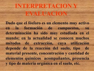 INTERPRETACION Y
EVALUACION
Dado que el fósforo es un elemento muy activo
en la formación de compuestos, su
determinación ha sido muy estudiada en el
mundo; en la actualidad se conocen muchos
métodos de extracción, cuya utilización
depende de la reacción del suelo, tipo de
material presente, concentración y cantidad de
elementos químicos acompañantes, presencia
y tipo de materia orgánica en el suelo, etc.
 