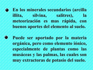 En los minerales secundarios (arcilla
illita, silvina, salitres), la
meteorización es mas rápida, con
buenos aportes del elemento al suelo.
Puede ser aportado por la materia
orgánica, pero como elemento iónico,
especialmente de plantas como las
musáceas y las palmas, las cuales son
muy extractoras de potasio del suelo.
 